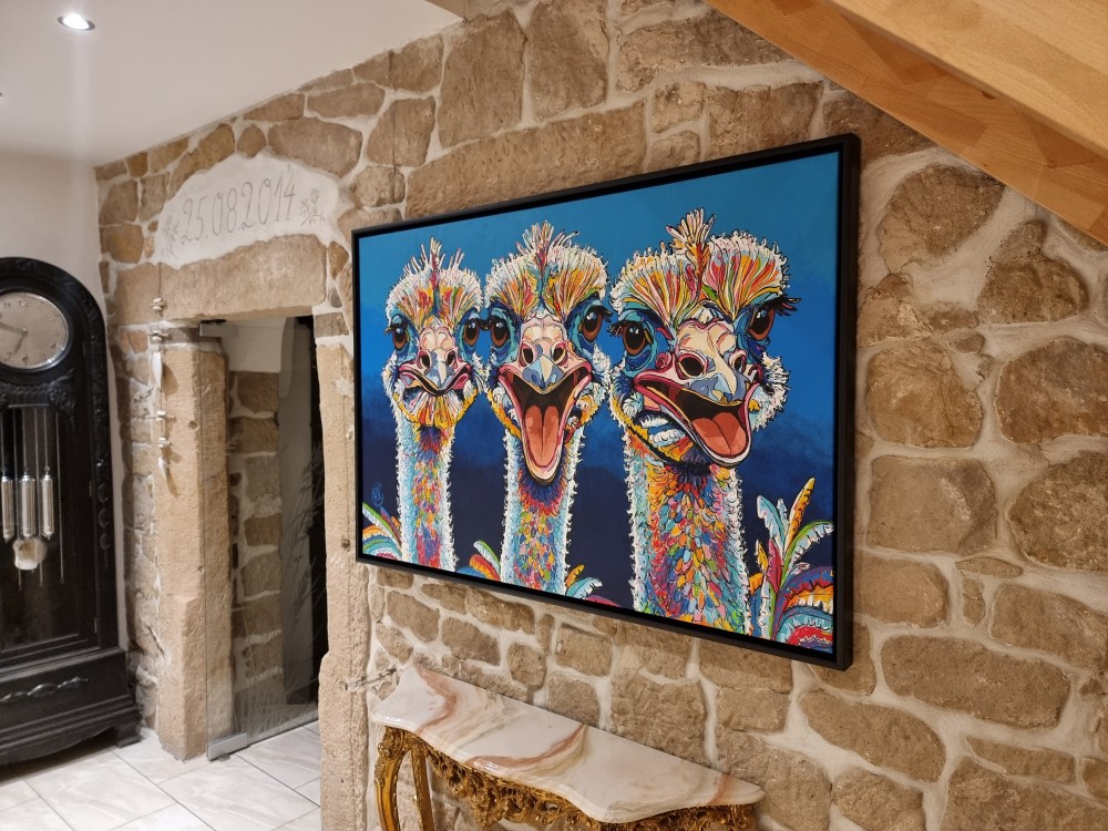 Framed painting of three colorful ostriches by Renata Rolefes on a stone wall in a hallway